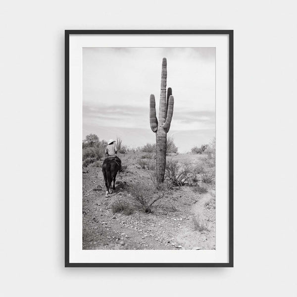 Saguaro