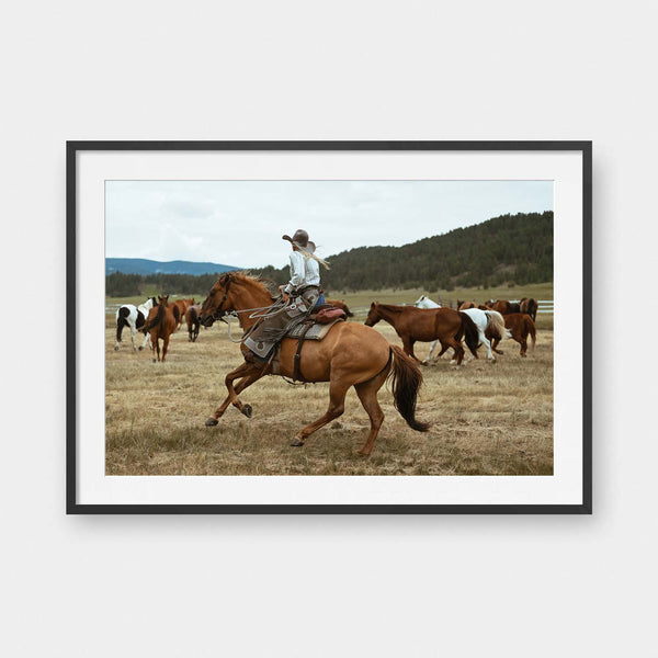 Pushing Ponies