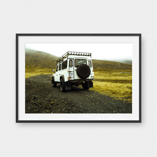 Into the Wild