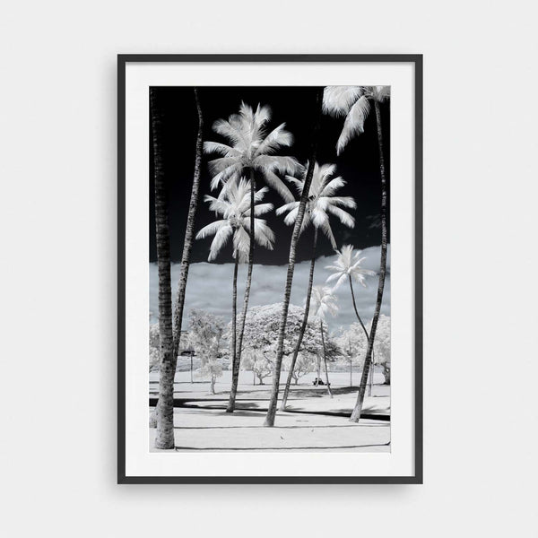 Eternal Summer