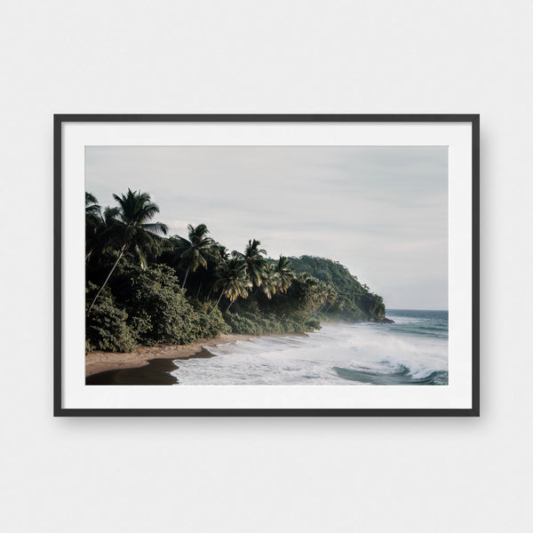 Wild Shore