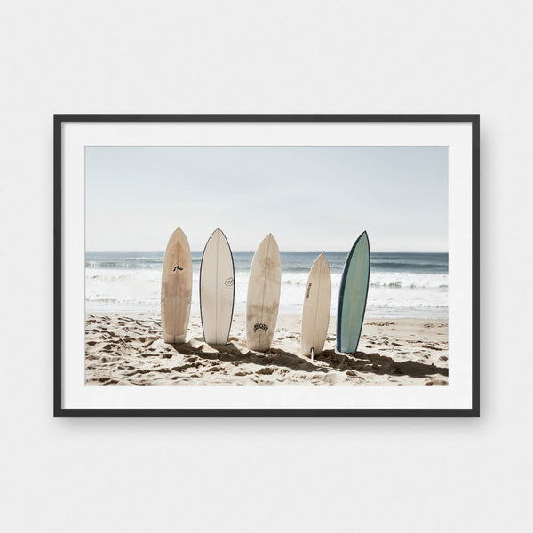 Coastal Cartel