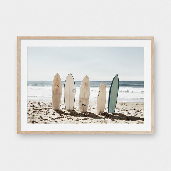 Coastal Cartel