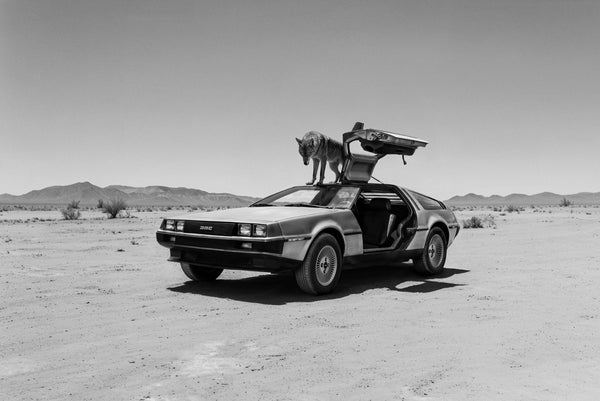 Steel Runner