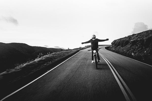 Free Bird