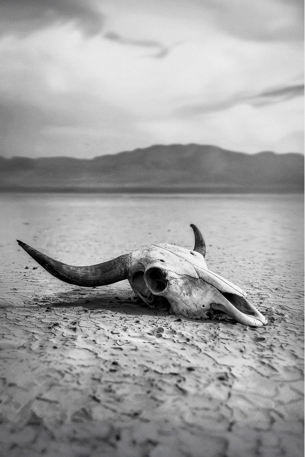 Bone Dry