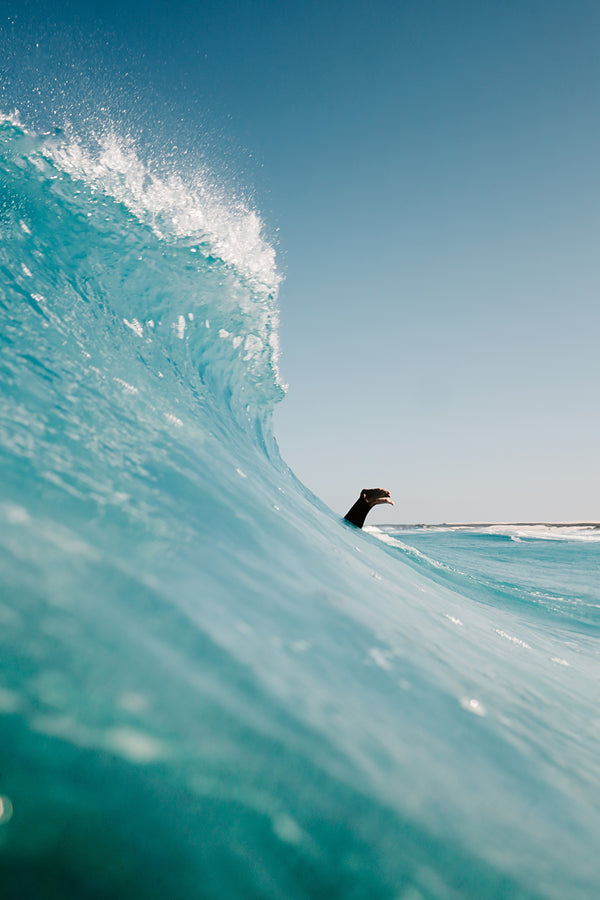 Into the Blue