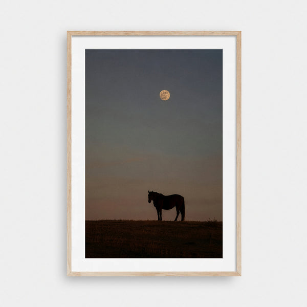 High Desert Moon