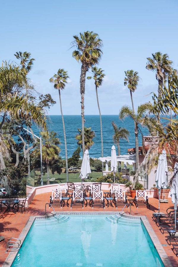 Poolside Palms