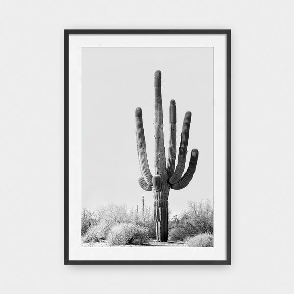Desert Bloom Vol. 2