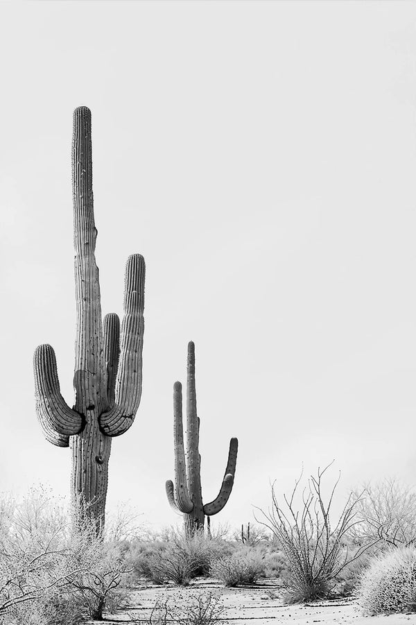 Desert Bloom Vol. 1