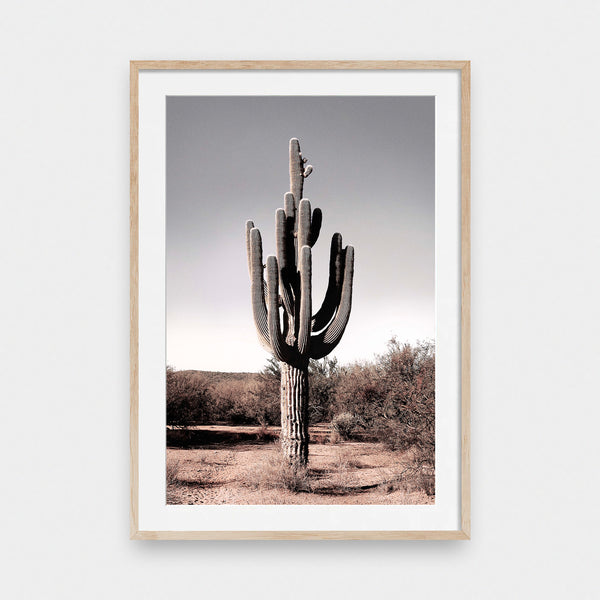 Desert Jewel