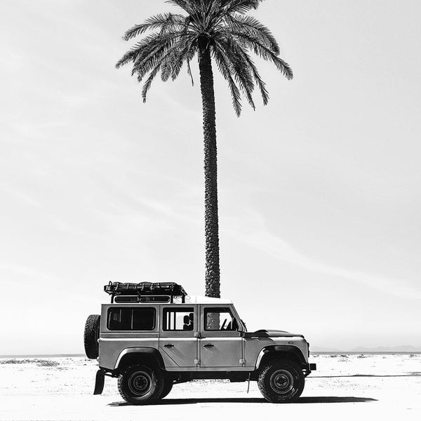 Sahara