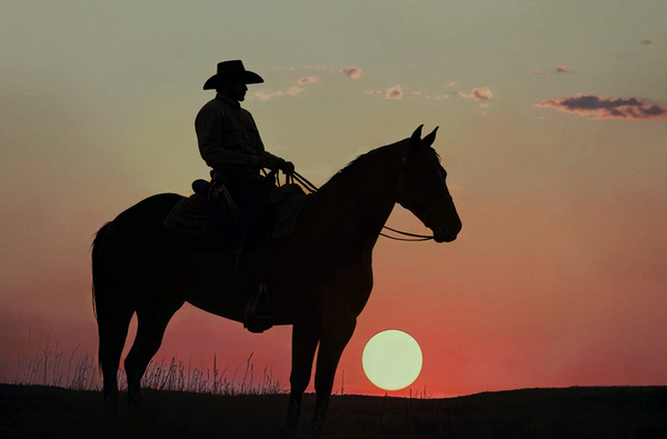 Dusk Rider