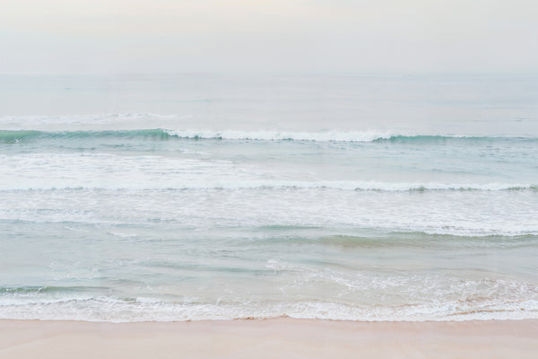 Fresh Coast