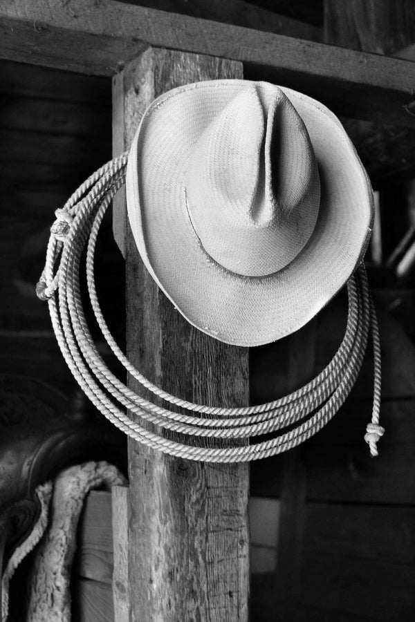 Hat and Lasso