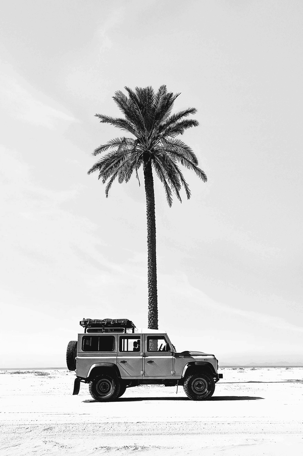 Sahara