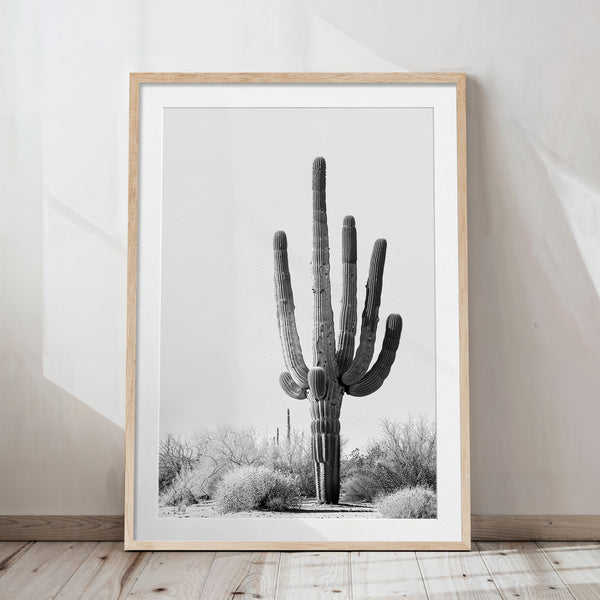 Desert Bloom Vol. 2