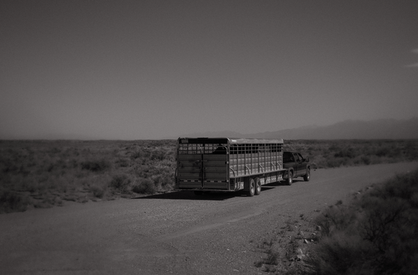 Road Home