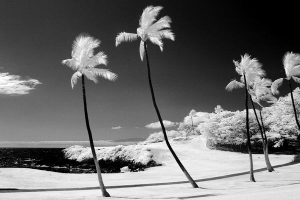 Shore