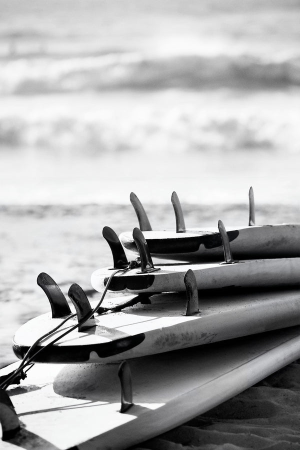 Surf & Sand