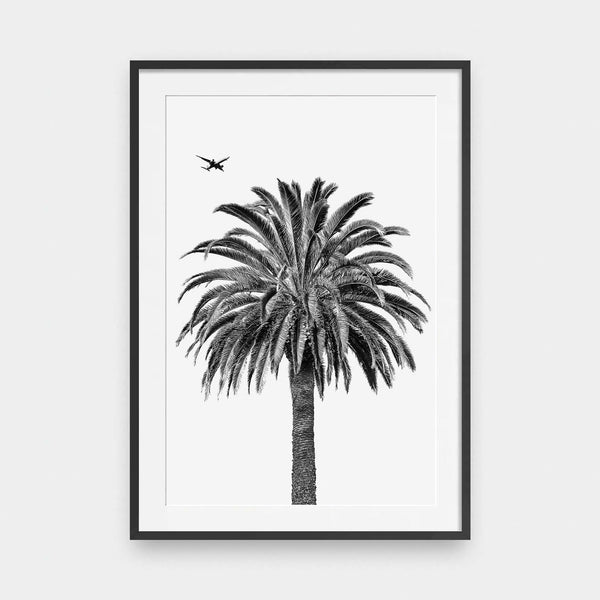 Palm & Plane - beach, black and White, photography, portrait print - LNDN GRAY