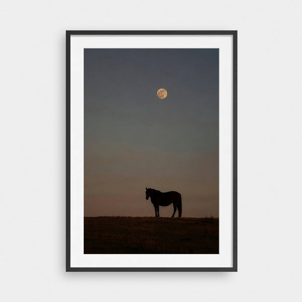 High Desert Moon