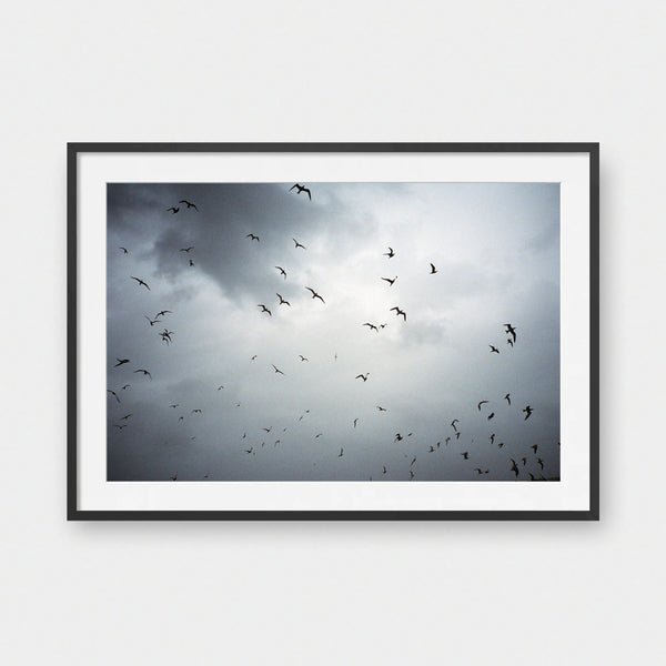 Flight