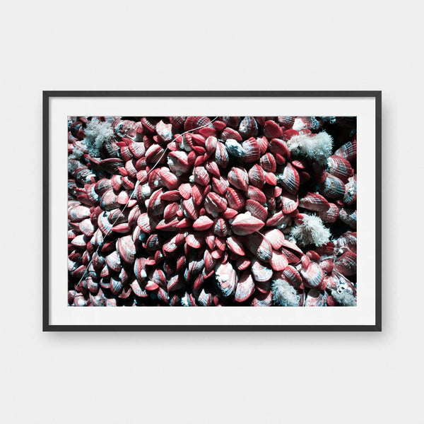 Tide Stones