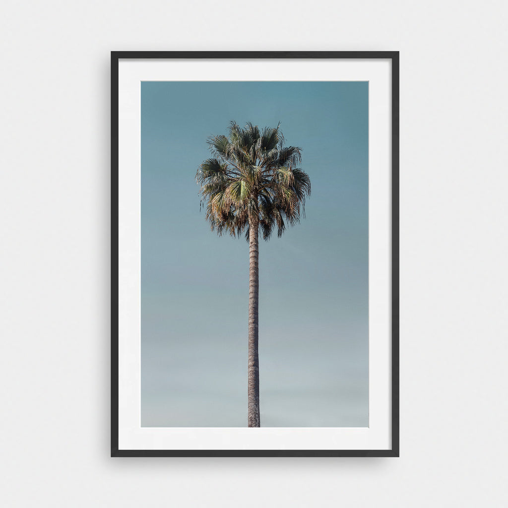 Last Palm - LNDN GRAY