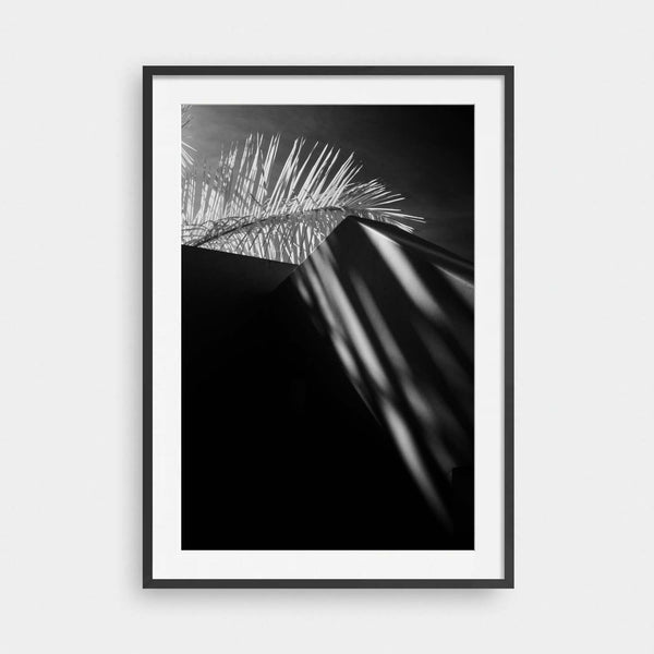 Palm Veil