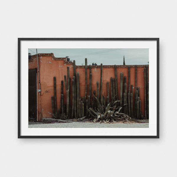 Terracotta