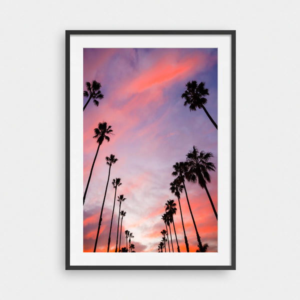 Palm Line