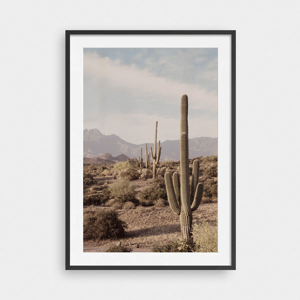 The Lonely West