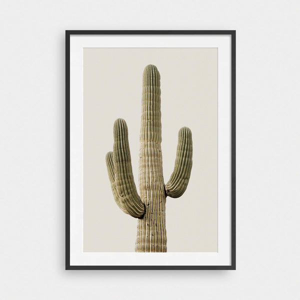 Cactus Royale