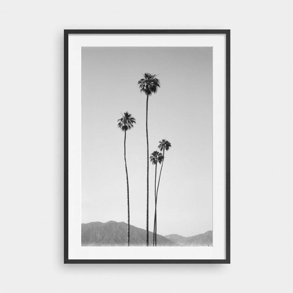 Santa Anita No.2