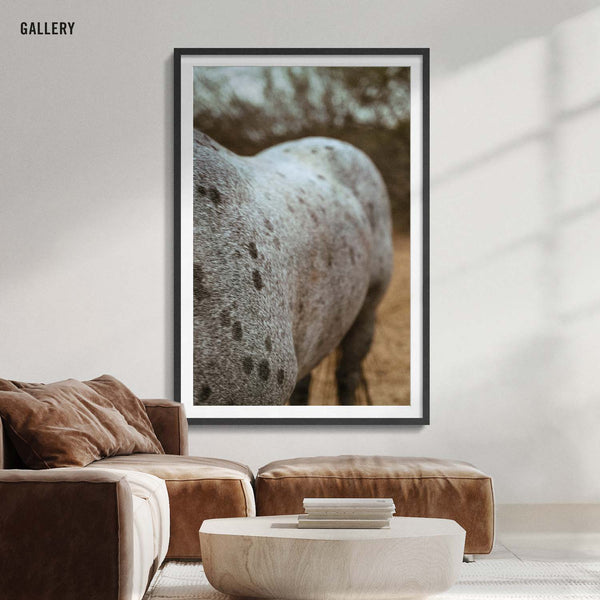 Apaloosa
