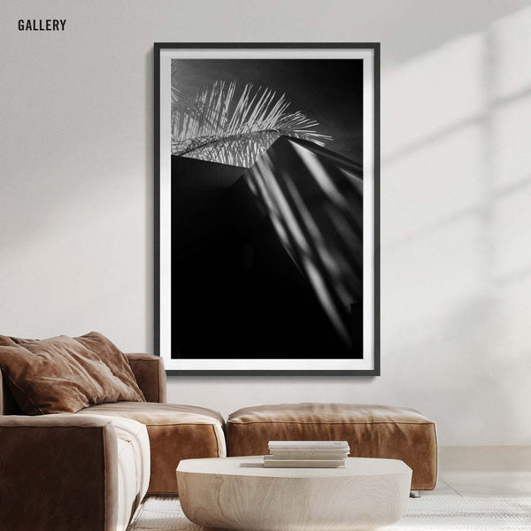 Palm Veil