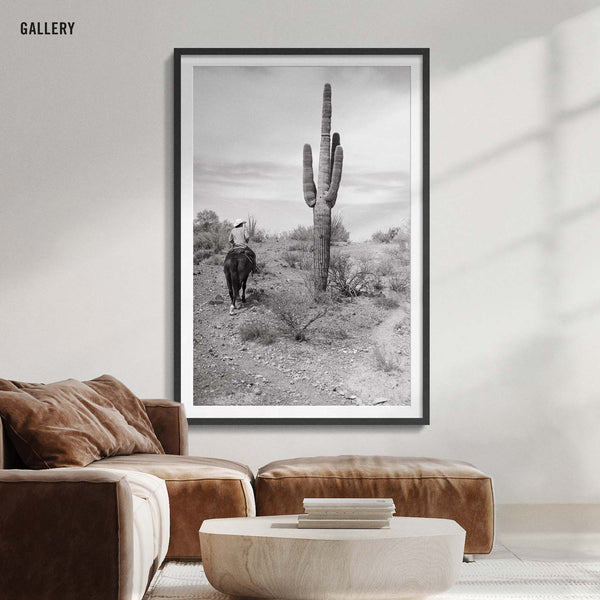 Saguaro
