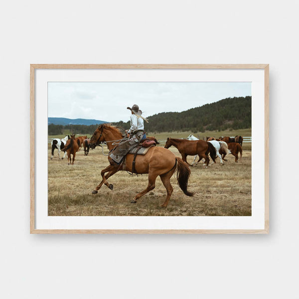 Pushing Ponies