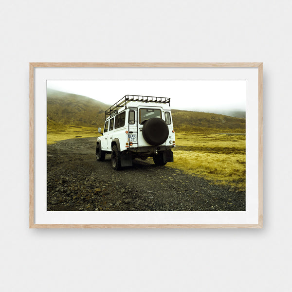 Into the Wild