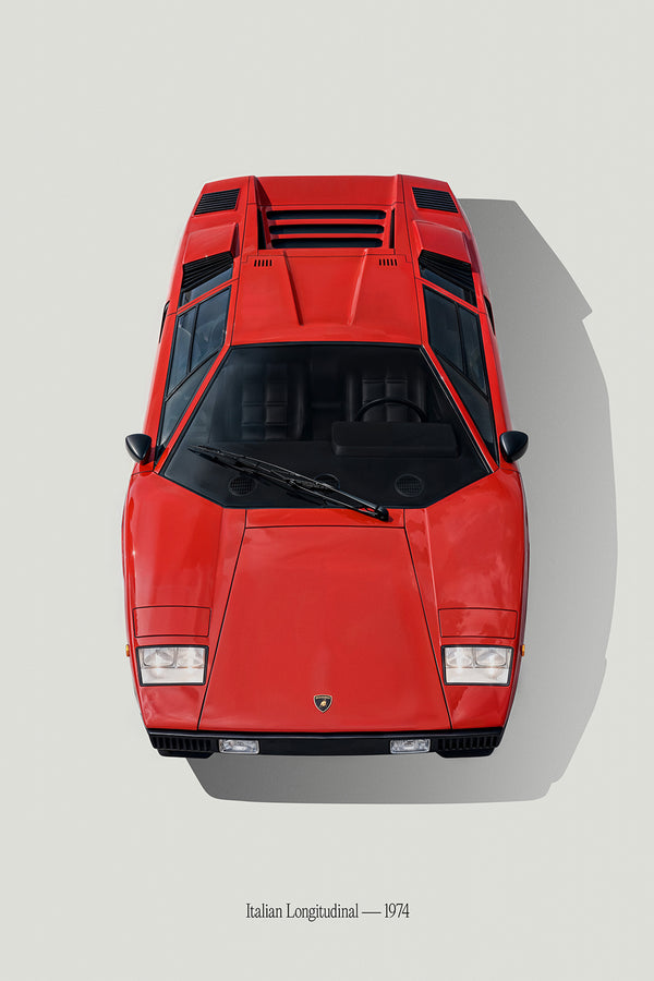 Italian Longitudinal 1974
