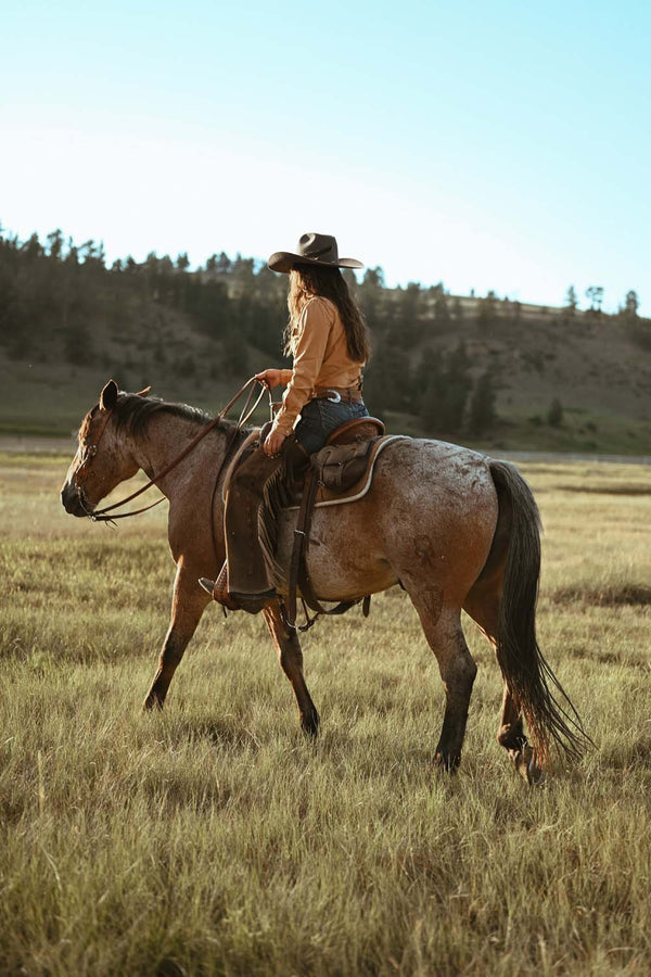 Roan