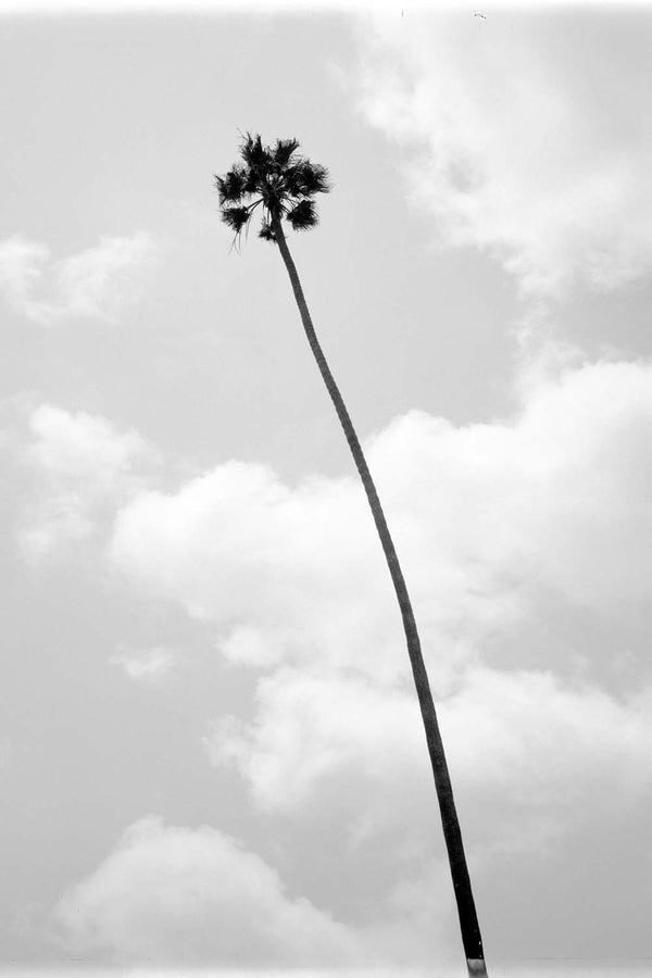Hollywood