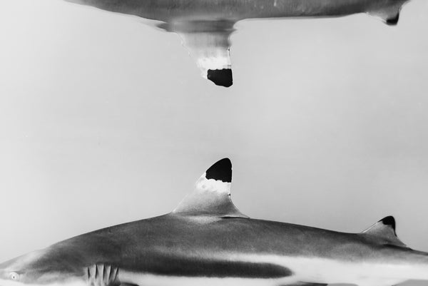 Below the Surface