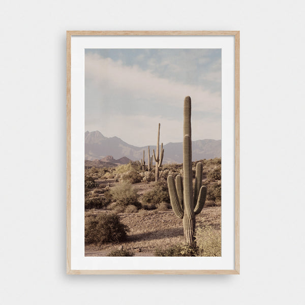 The Lonely West