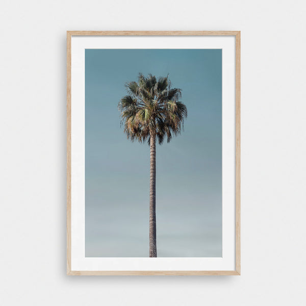 Last Palm