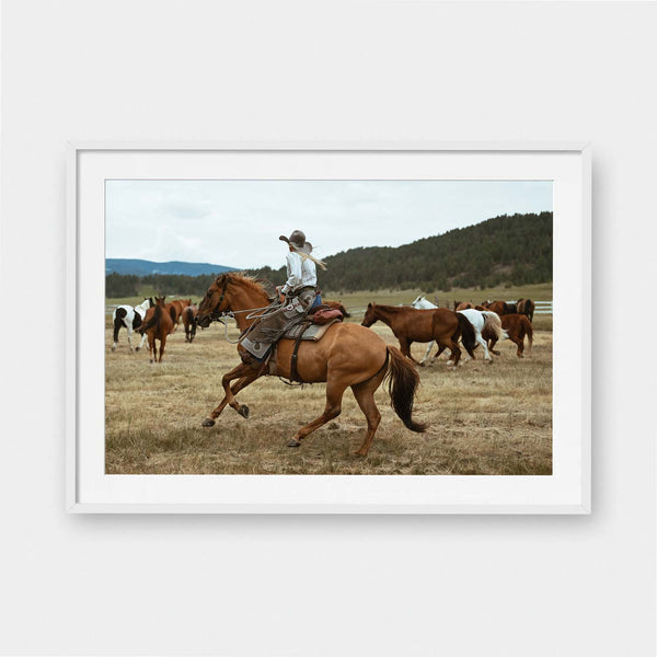 Pushing Ponies