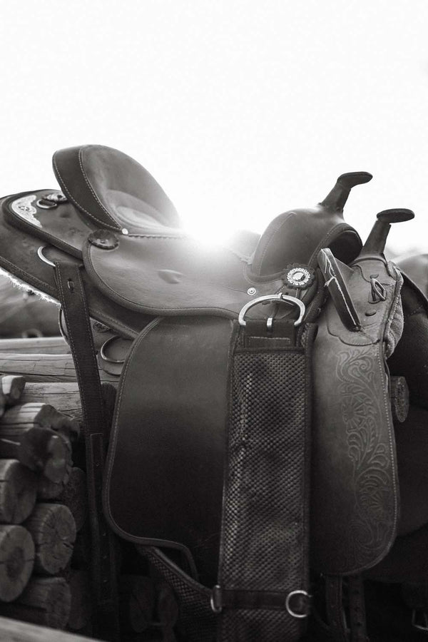 Saddle Up