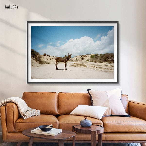 Badlands Burro